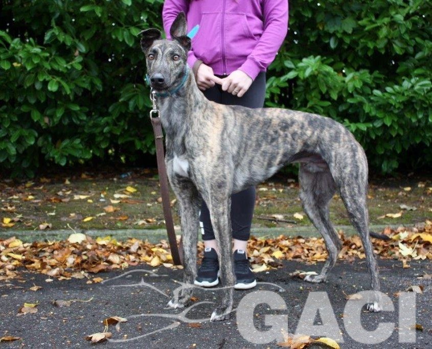 5 JETSKY - 14-10-2016 -M