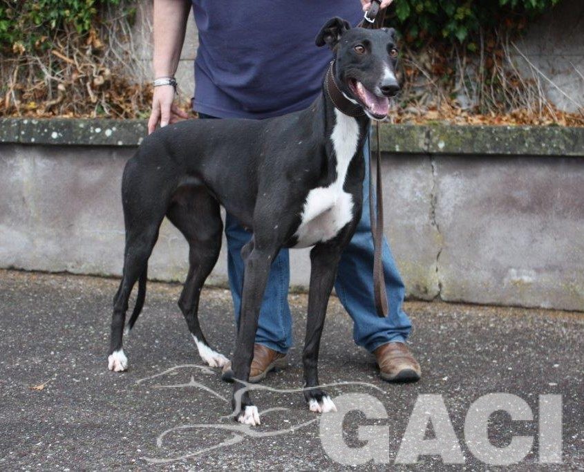 5 RUBY - 02-09-2016 -F