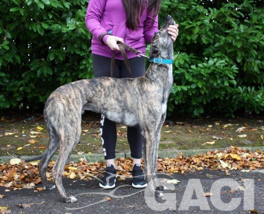 7 JETSKY - 14-10-2016 -M