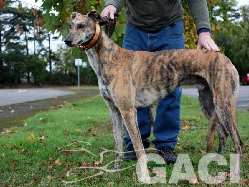 7 RIO - 11-06-2015- M