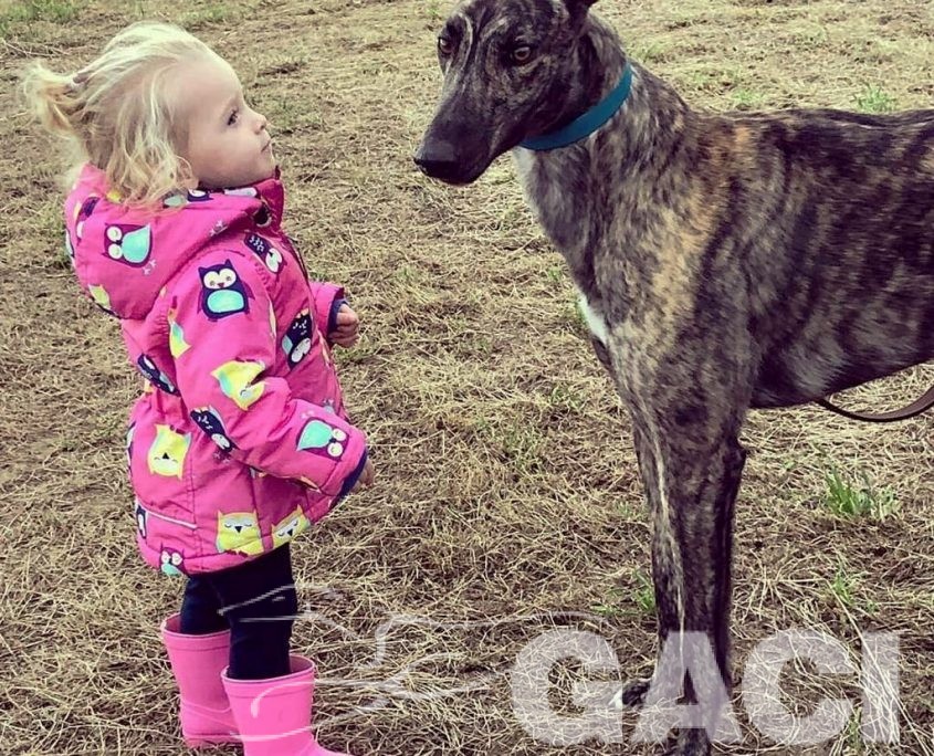 8 JETSKY - 14-10-2016 -M