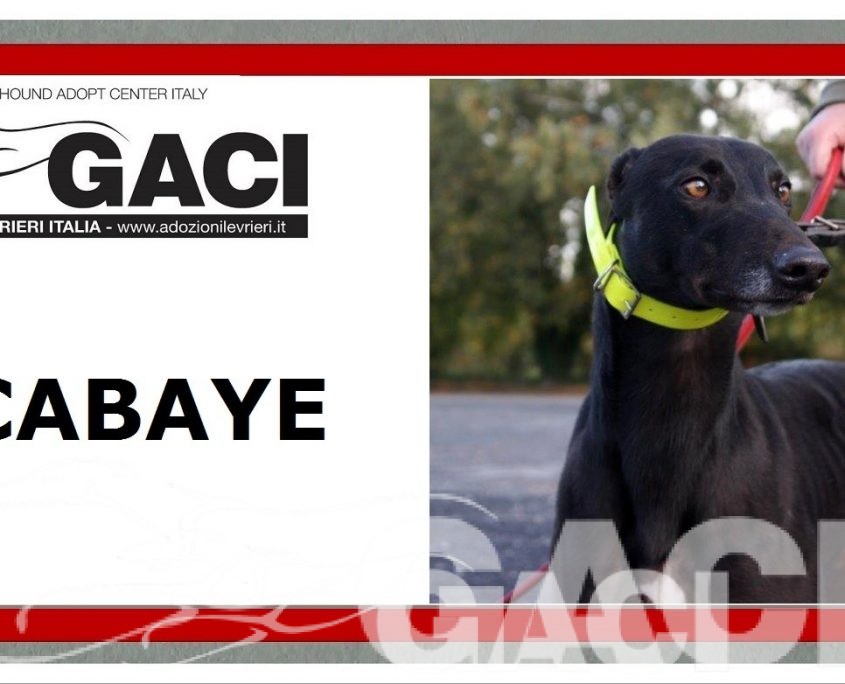 9 CABAYE - 16-07-2015 -M