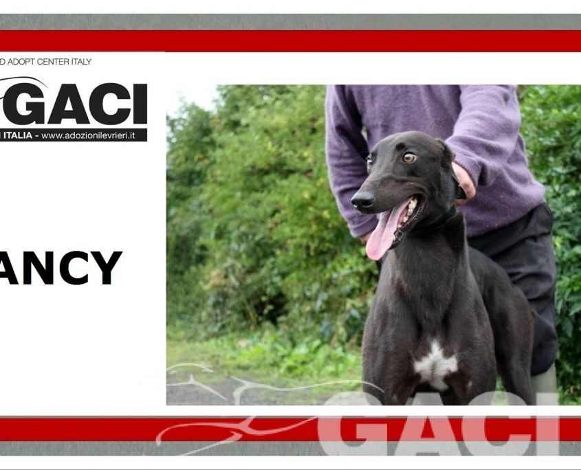 (9) FANCY - 12-06-2014 - M