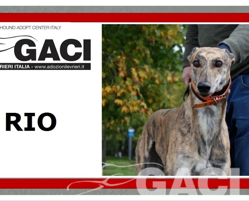 9 RIO - 11-06-2015- M