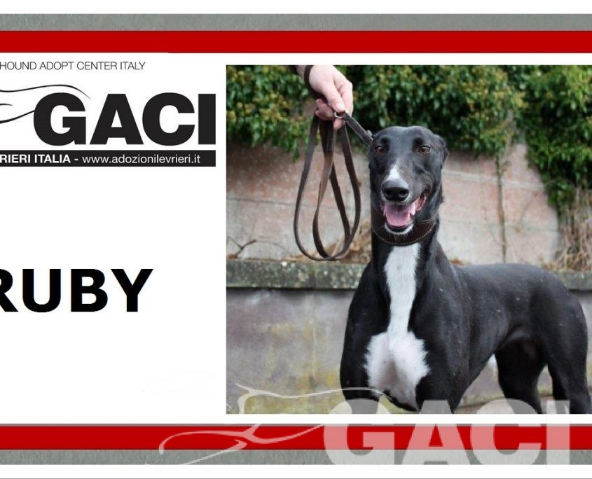 9 RUBY - 02-09-2016 -F