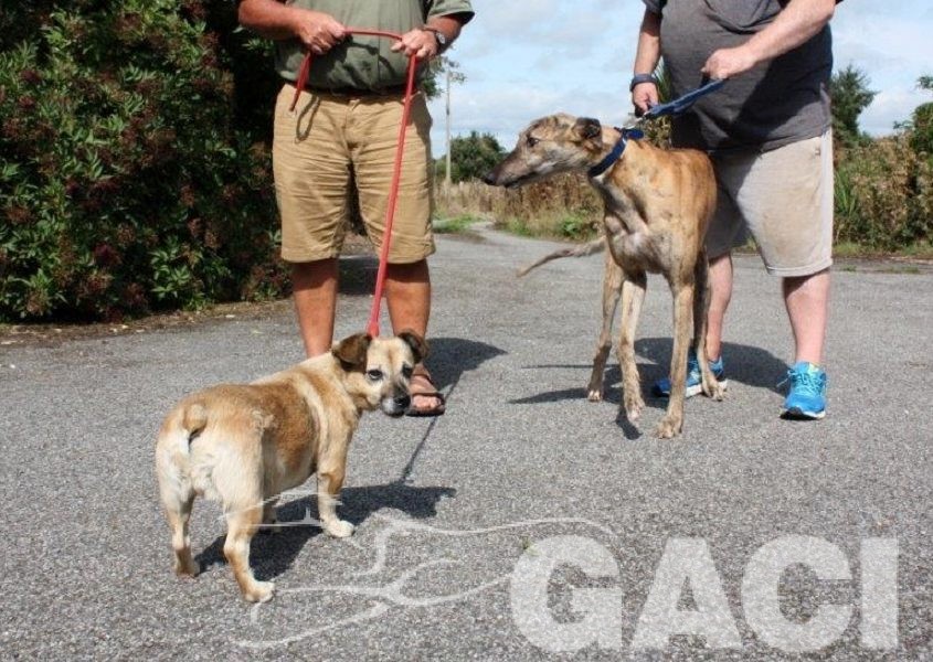 PILOT - 23-02-2014- M - 1 (4)