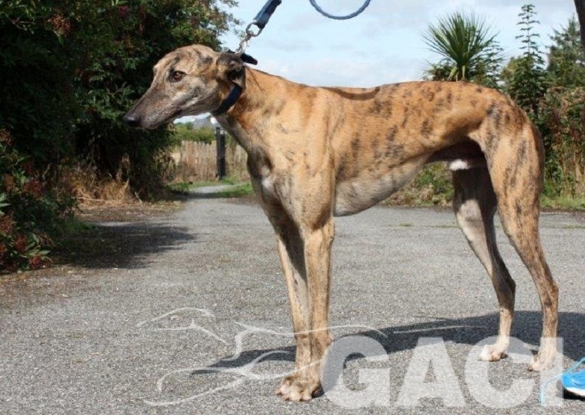 PILOT - 23-02-2014- M - 1 (6)