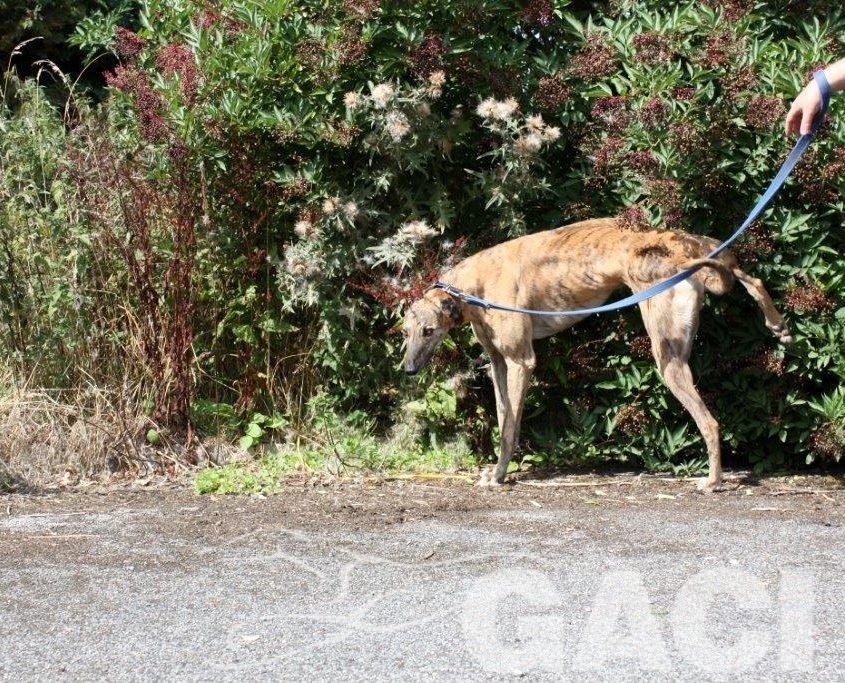 PILOT - 23-02-2014- M - 1 (7)