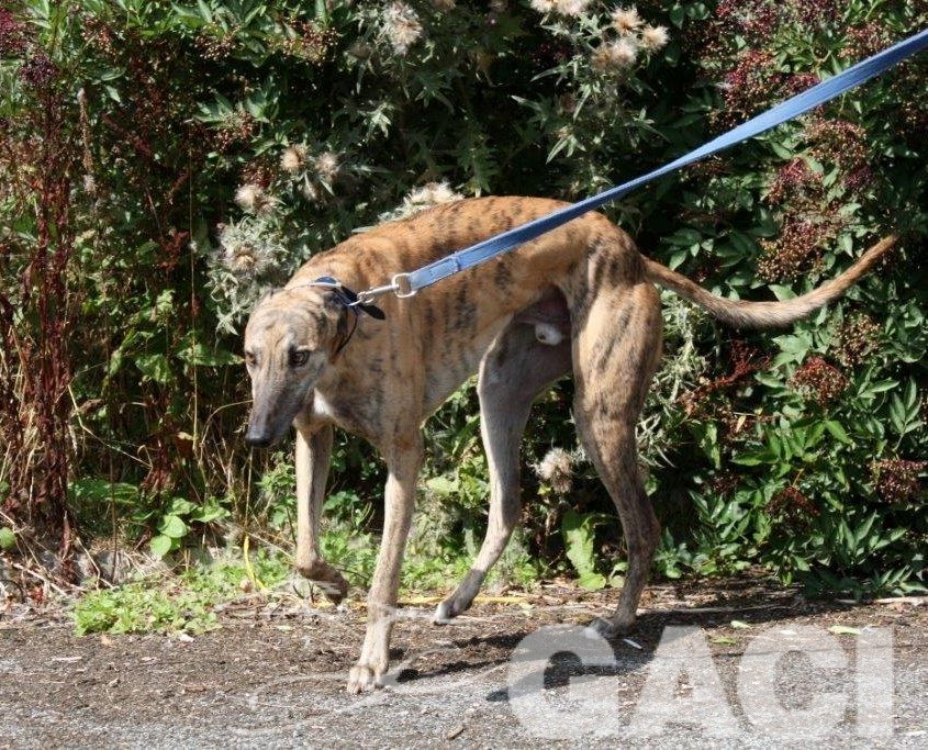 PILOT - 23-02-2014- M - 1 (8)