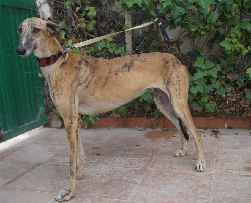 apple nuevas fotos (6)