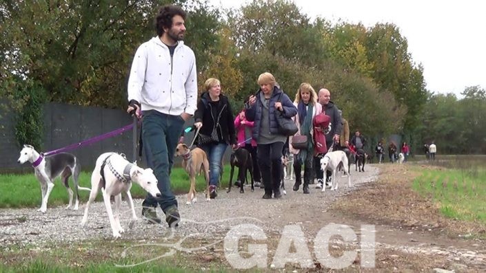 45540555_1235121473292647_318591989593407488_n