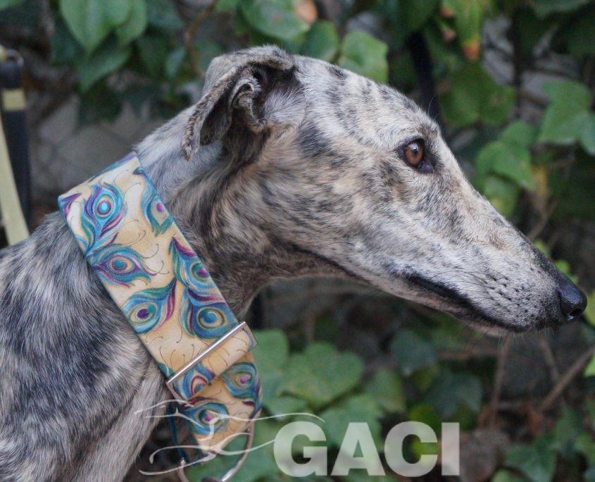 P181016_04 CLOE H (1)