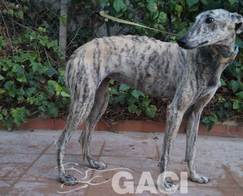 P181016_04 CLOE H (2)