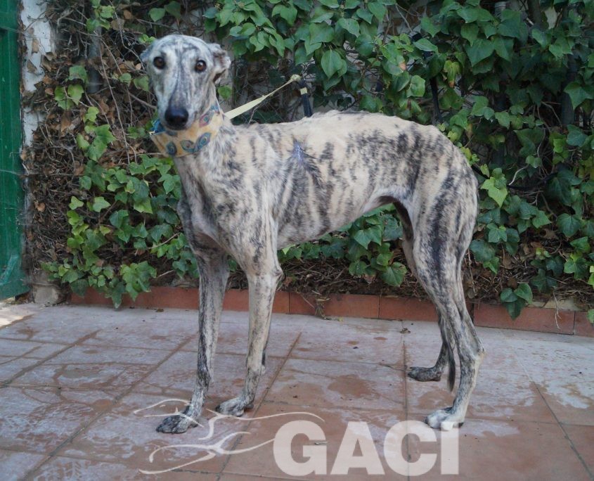 P181016_04 CLOE H (3)