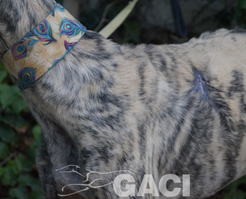 P181016_04 CLOE H (4)