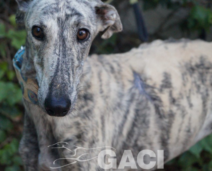 P181016_04 CLOE H (5)