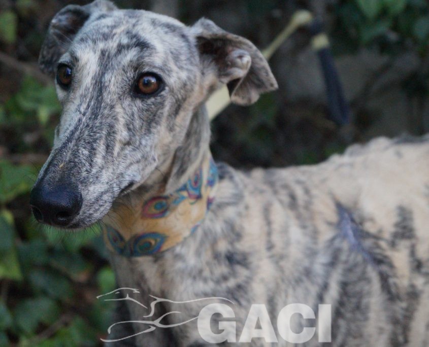 P181016_04 CLOE H (6)