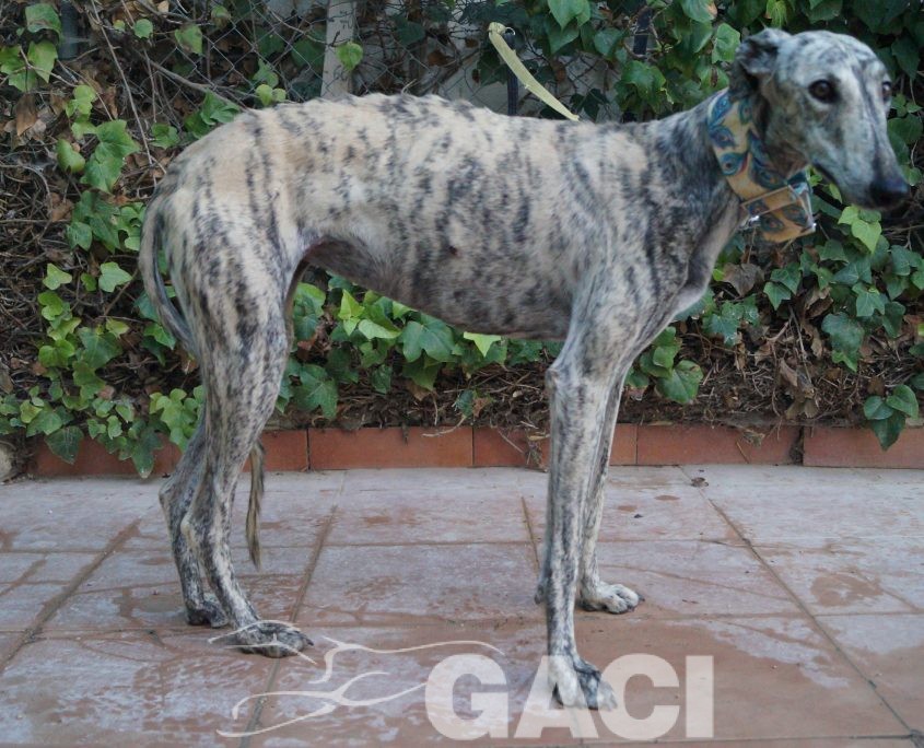 P181016_04 CLOE H (7)