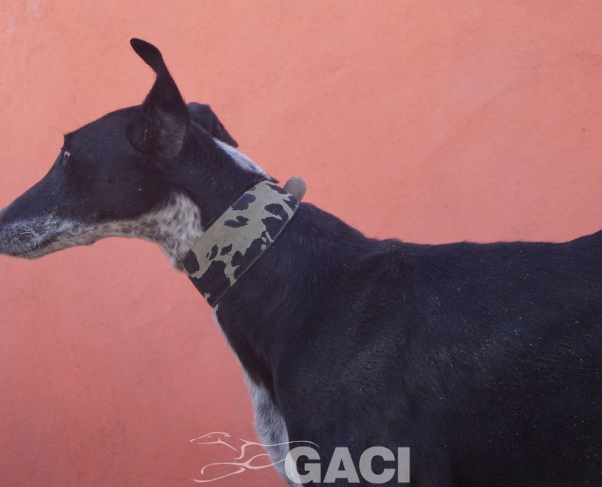 sabrina nuevas fotos (1)