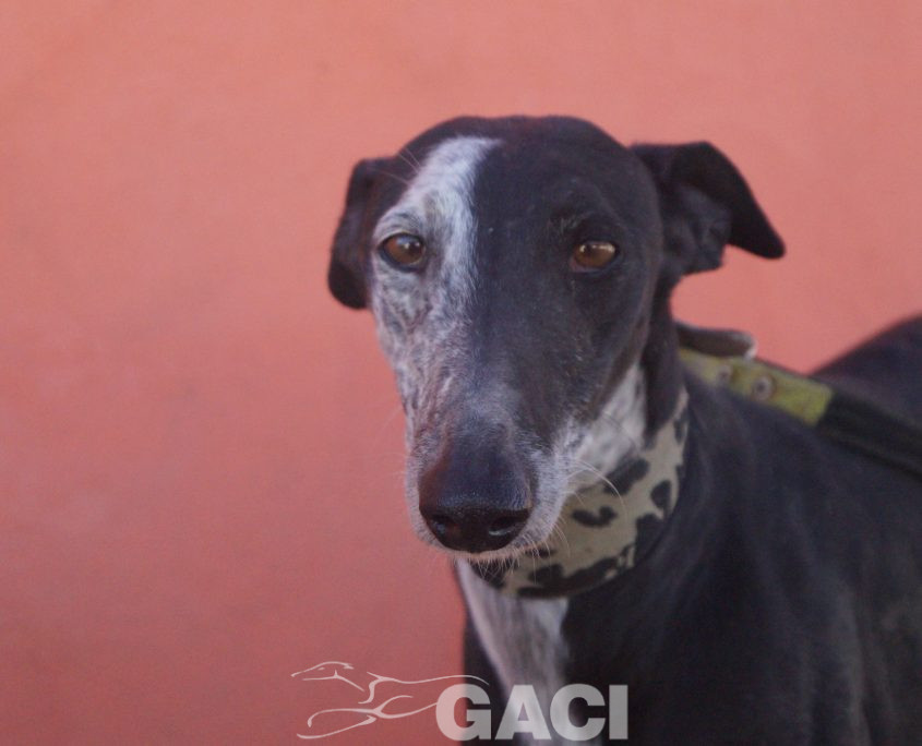 sabrina nuevas fotos (10)