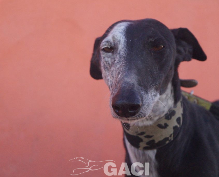 sabrina nuevas fotos (11)