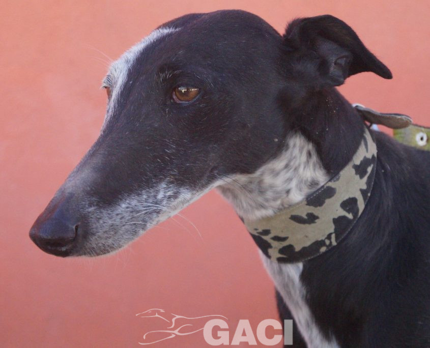 sabrina nuevas fotos (12)