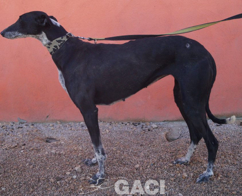 sabrina nuevas fotos (13)