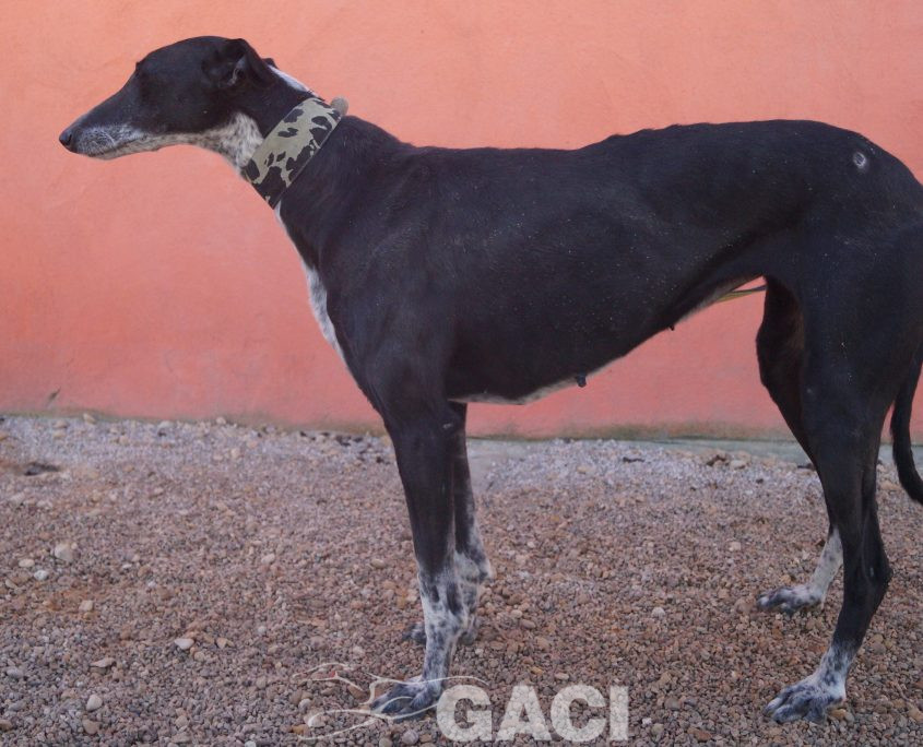 sabrina nuevas fotos (14)