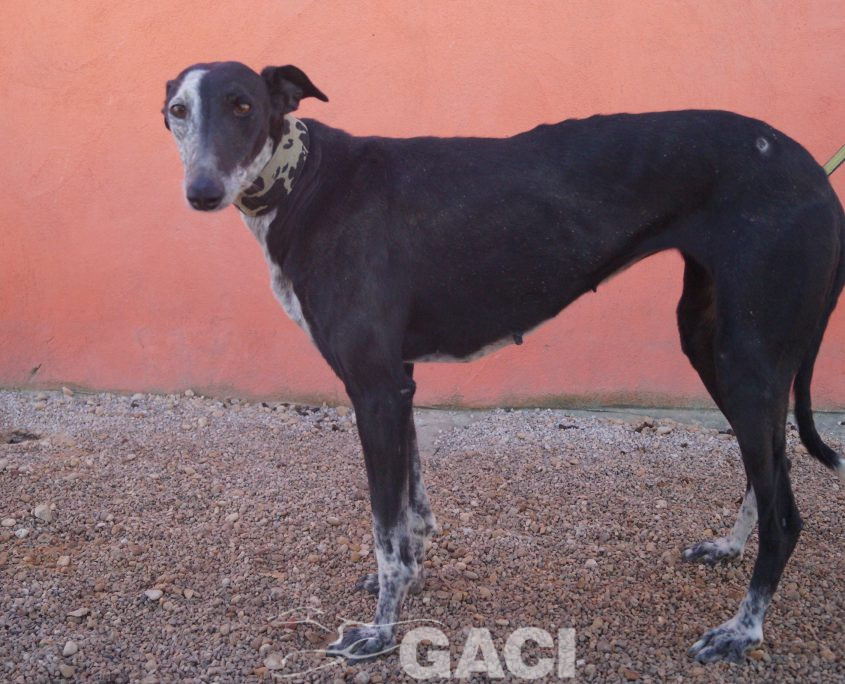 sabrina nuevas fotos (15)