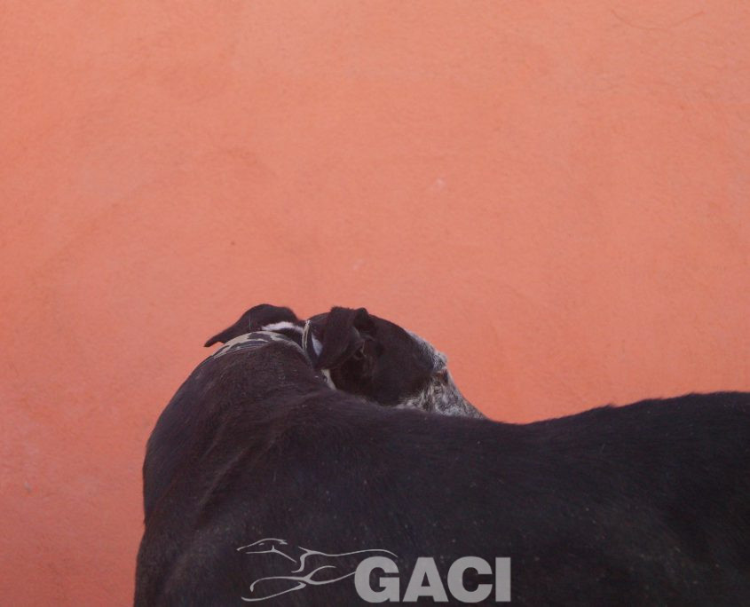 sabrina nuevas fotos (17)