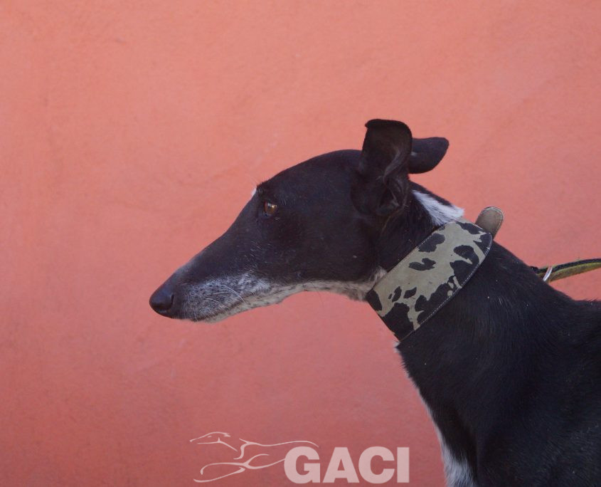 sabrina nuevas fotos (2)