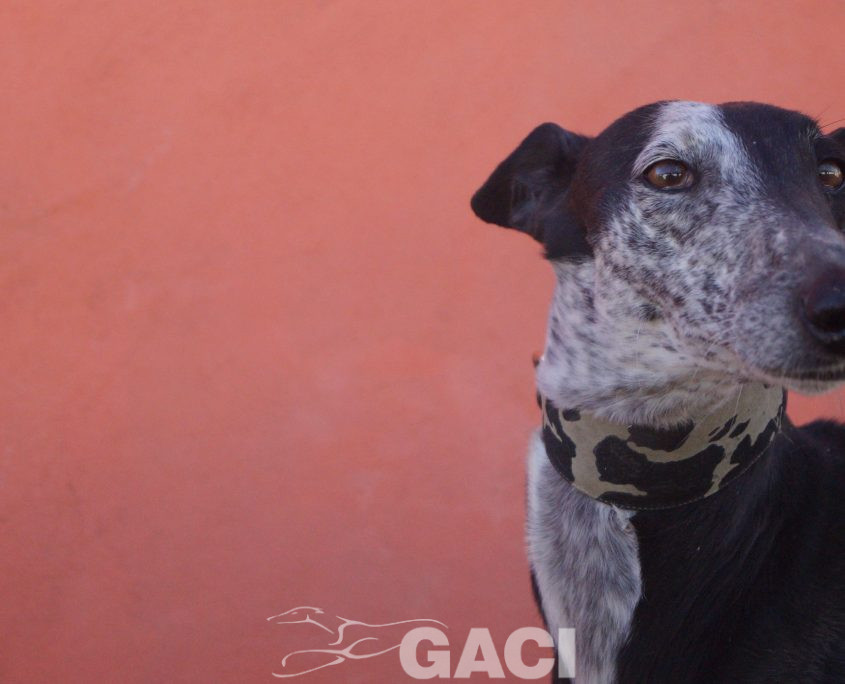 sabrina nuevas fotos (3)