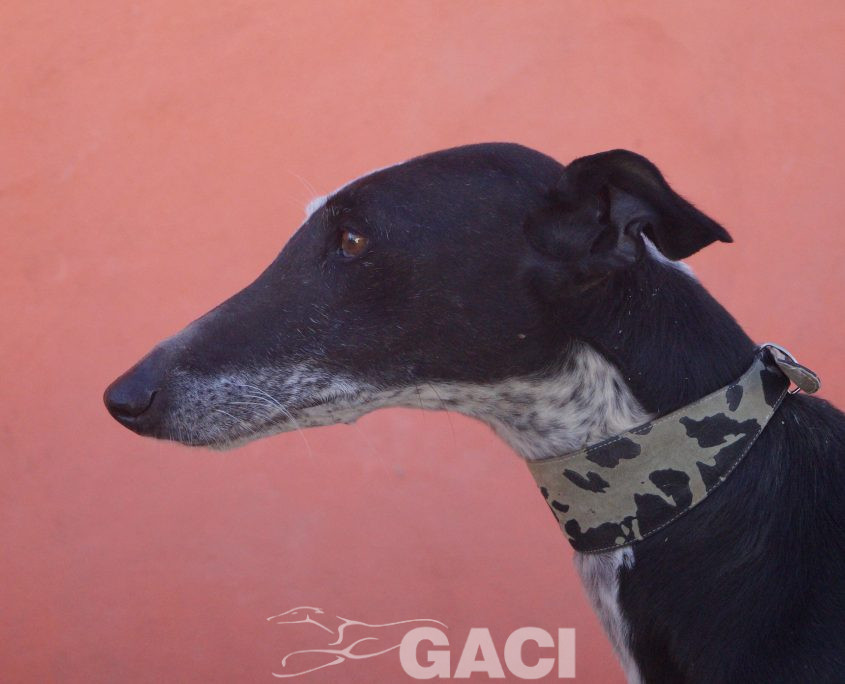 sabrina nuevas fotos (4)