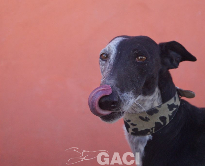 sabrina nuevas fotos (5)