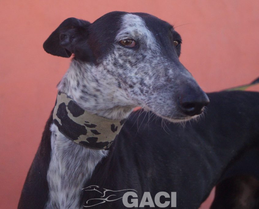 sabrina nuevas fotos (6)