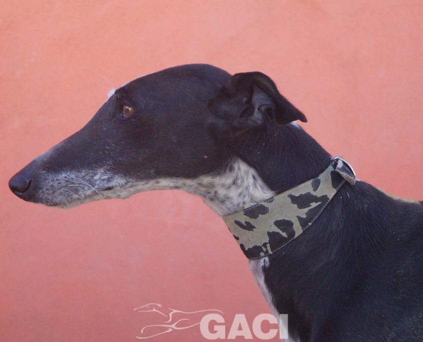 sabrina nuevas fotos (7)