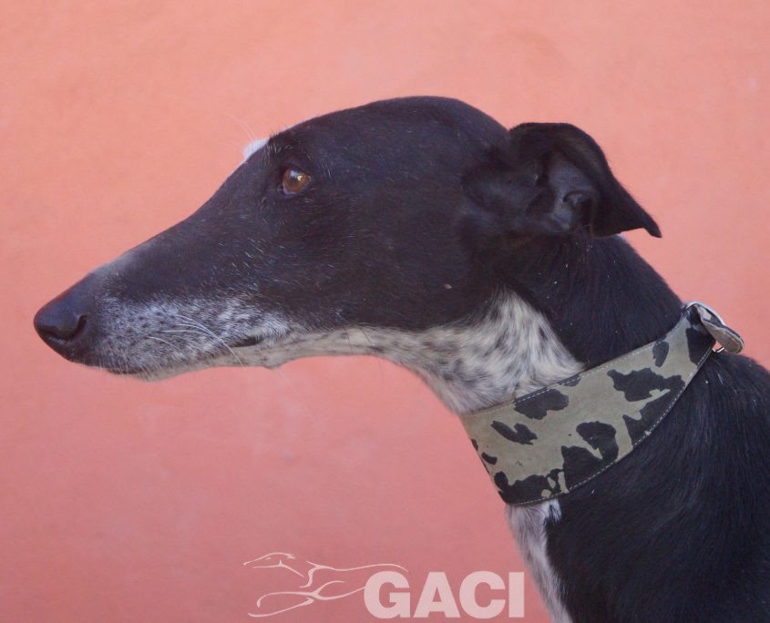 sabrina nuevas fotos (8)