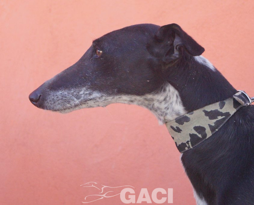 sabrina nuevas fotos (9)