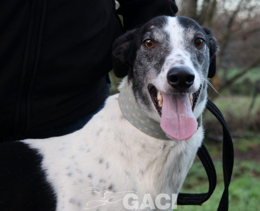 VALDEMAR - 28-03-2016 - M (1)