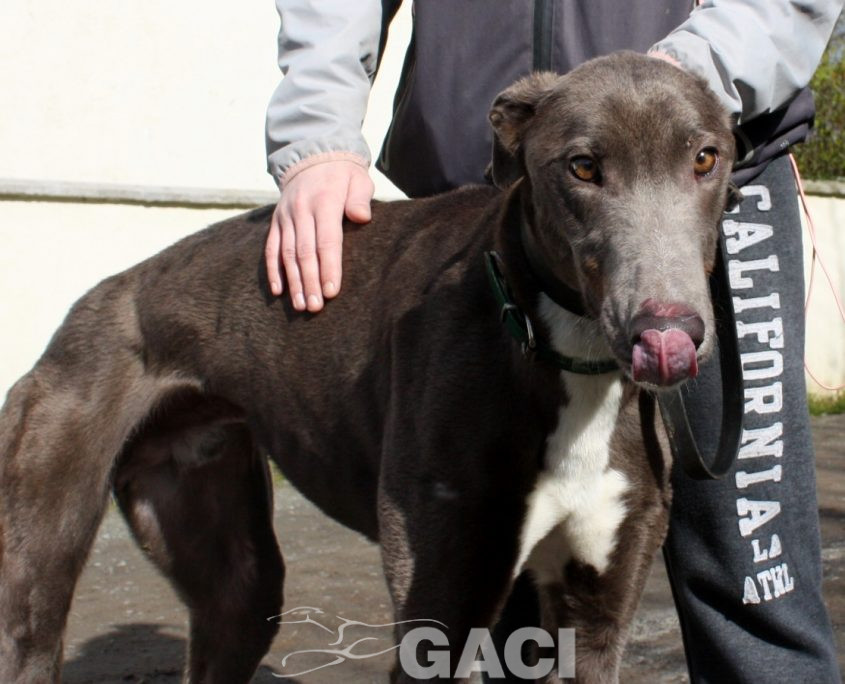 FREDERIC - 17-06-2017 -M (1)