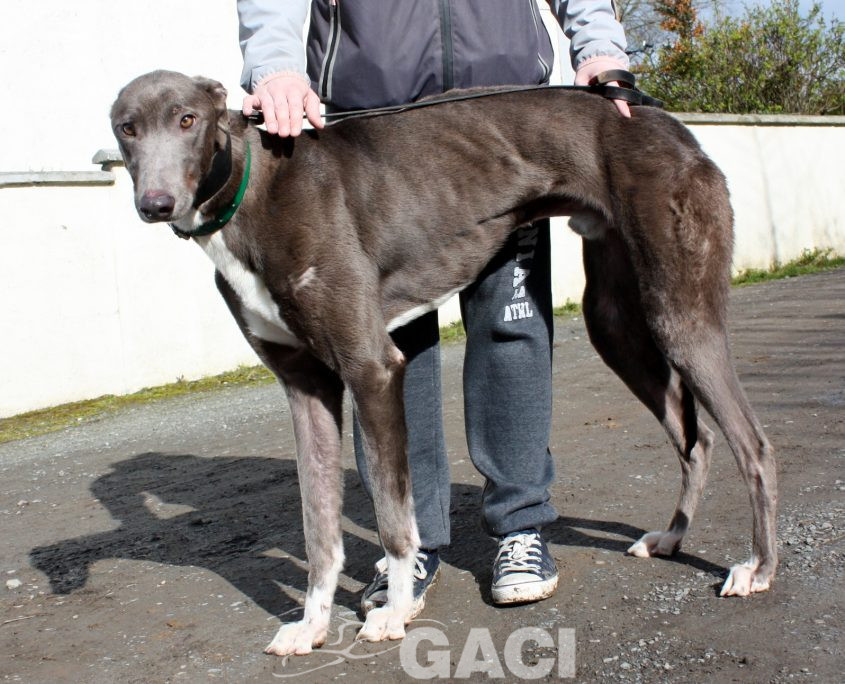 FREDERIC - 17-06-2017 -M (2)