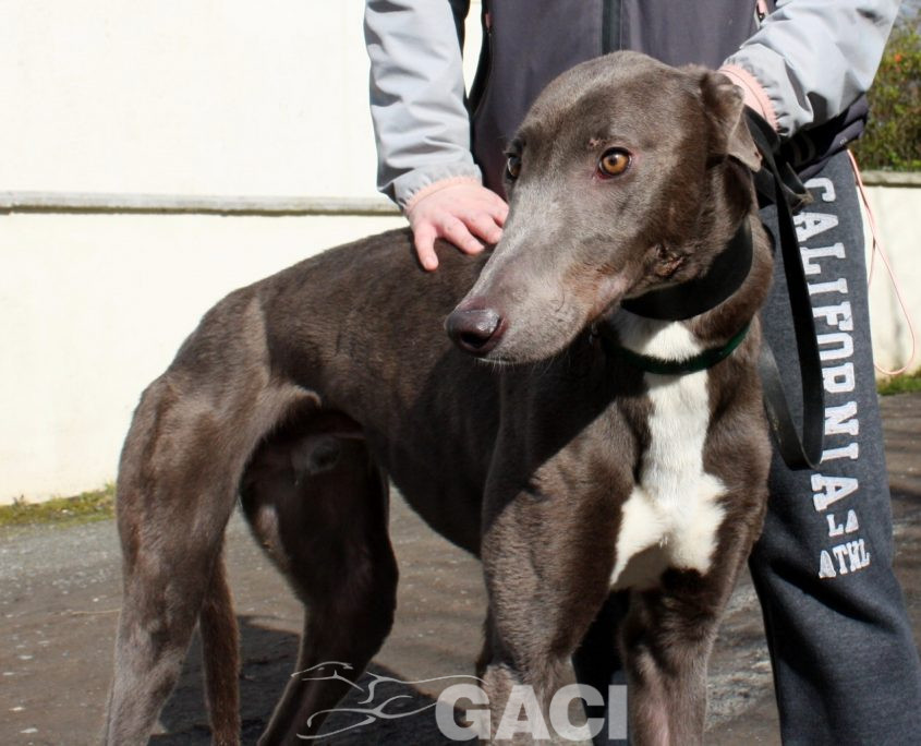 FREDERIC - 17-06-2017 -M (4)