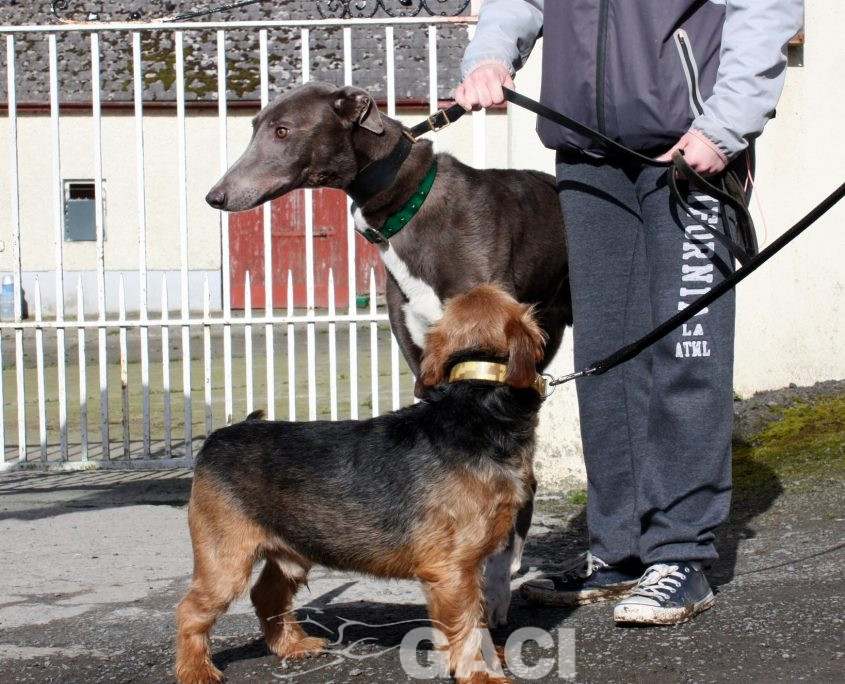 FREDERIC - 17-06-2017 -M (5)