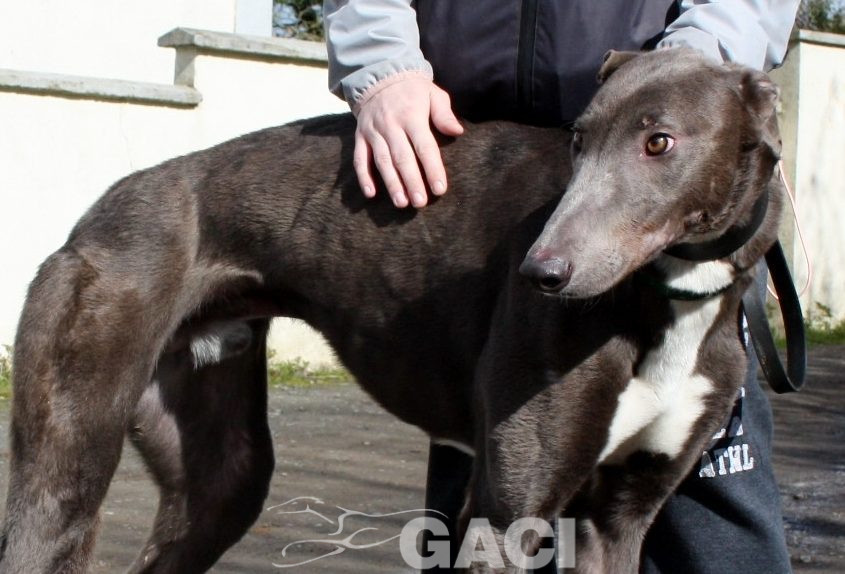 FREDERIC - 17-06-2017 -M (7)