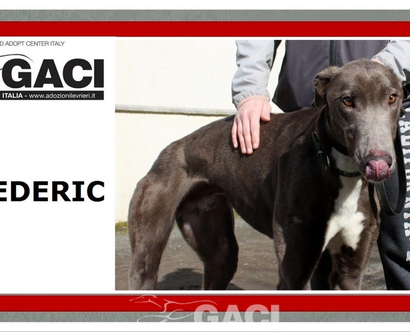 FREDERIC - 17-06-2017 -M (9)