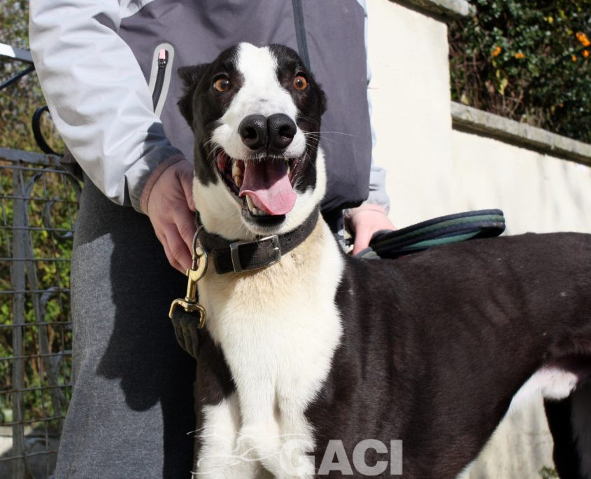 LEGO - 19-09-2017 - M (1)