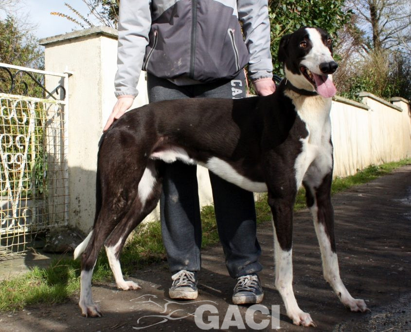 LEGO - 19-09-2017 - M (2)