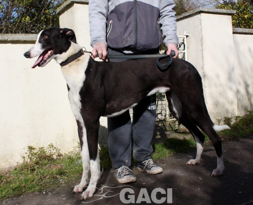 LEGO - 19-09-2017 - M (3)