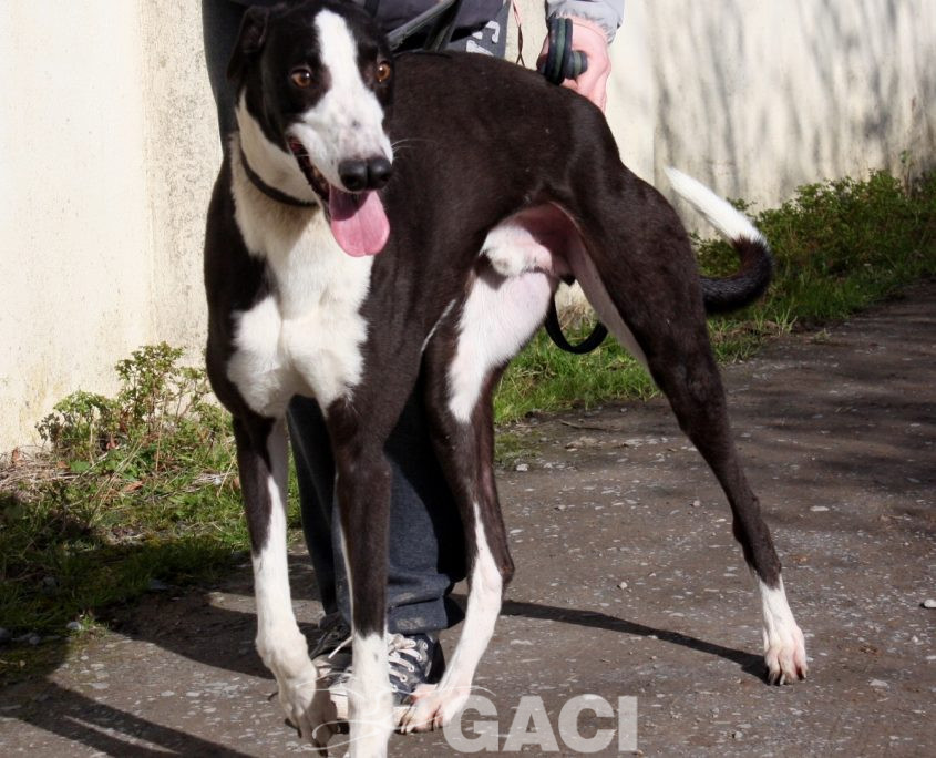 LEGO - 19-09-2017 - M (4)