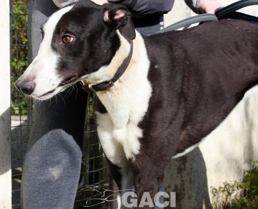 LEGO - 19-09-2017 - M (5)